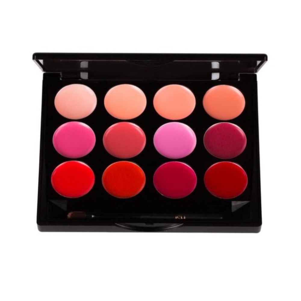 NWOT ISH Lip Statement Palette